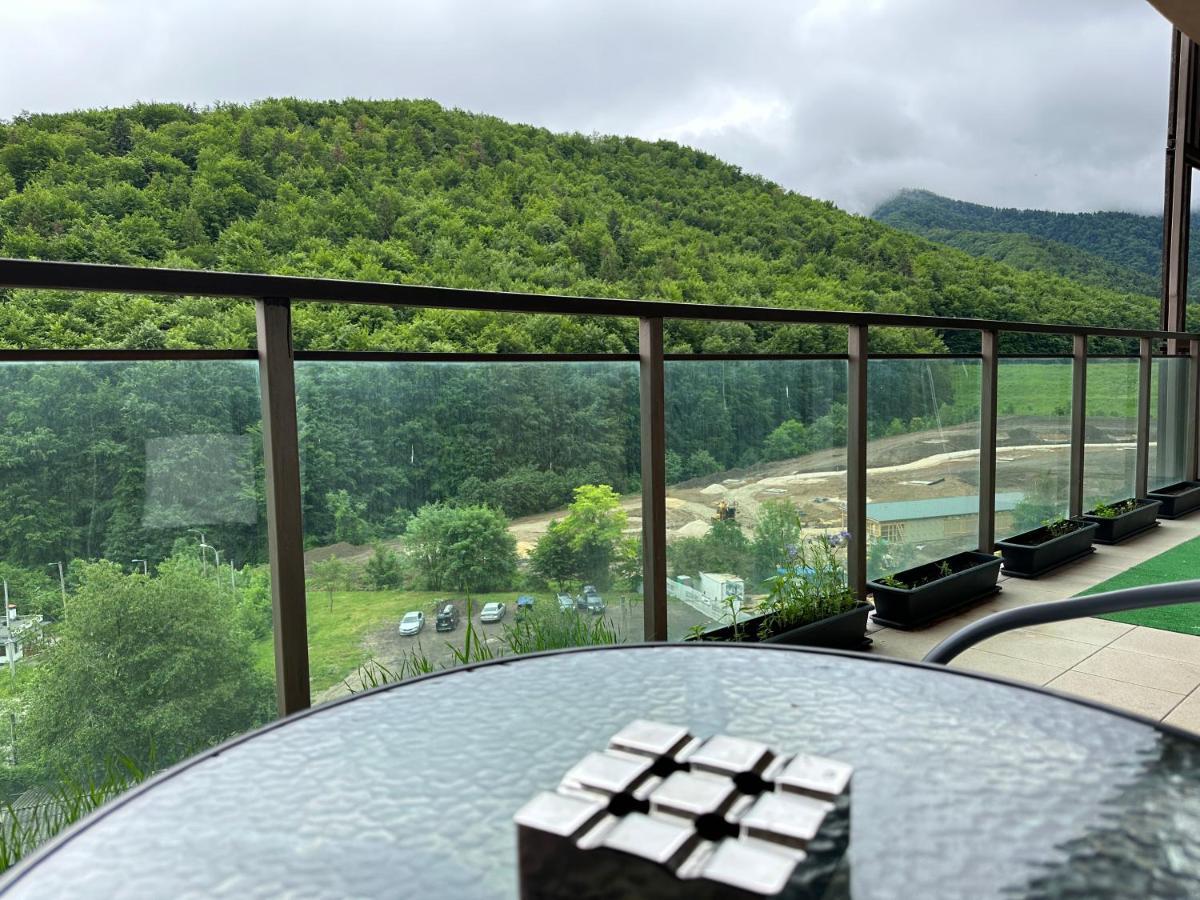 Silvelen Mountain View Apartment Braşov Exterior foto
